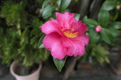 P1030376