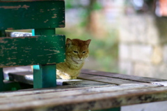 DSC01110