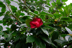 DSC01416_DxO