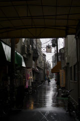 _A7C4336_DxO