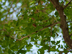 P1060493_DxO