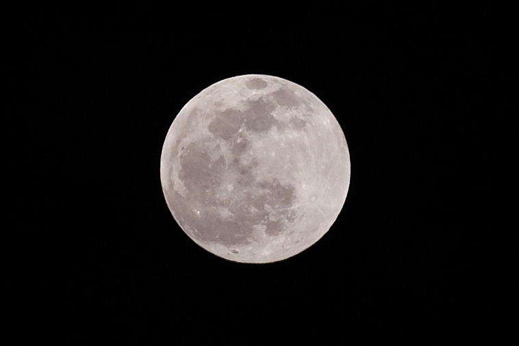 DSC04769