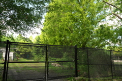 DSC02085