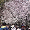 P1077933