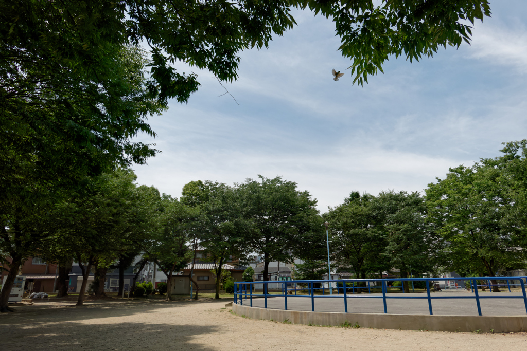 P1000447_DxO