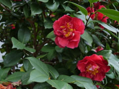 P1050526