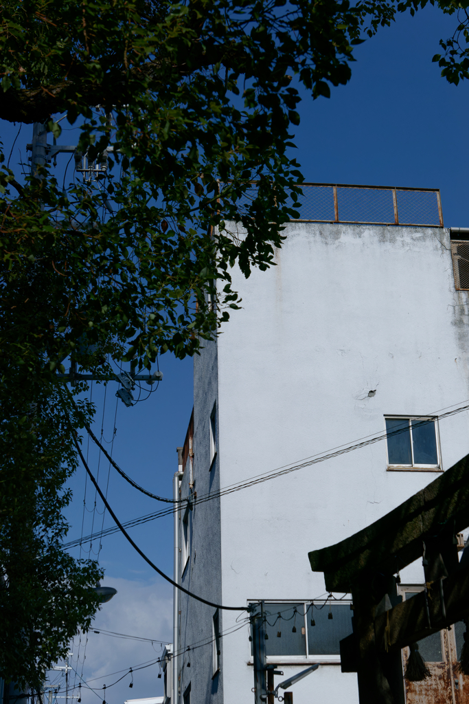 P1050095_DxO