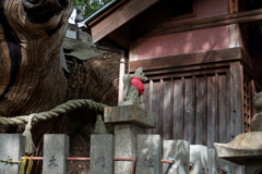 DSC01018_DxO