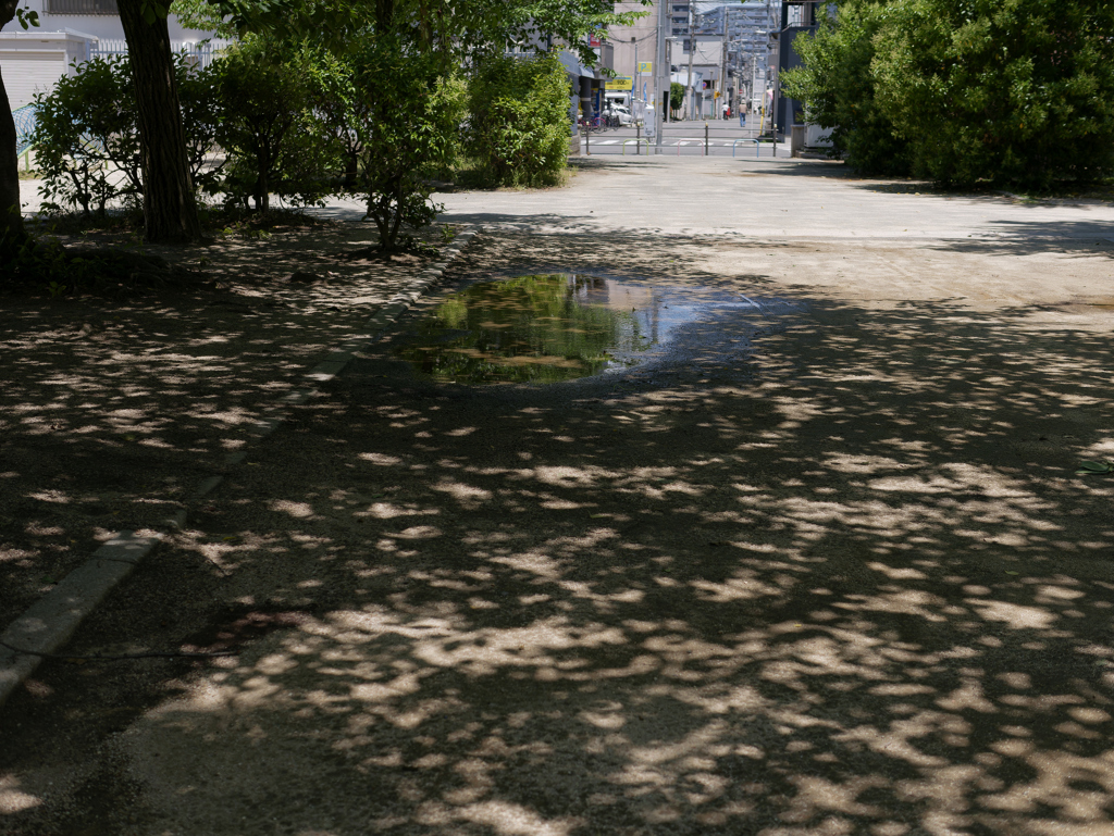 _1010052_DxO