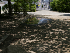 _1010052_DxO