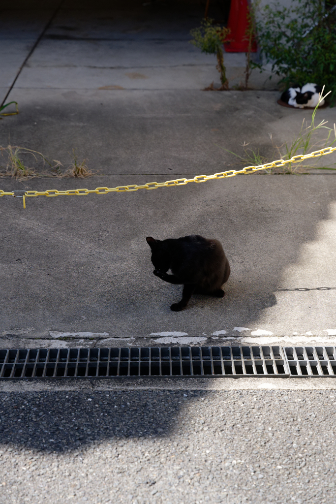 P1011967_DxO