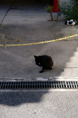 P1011967_DxO