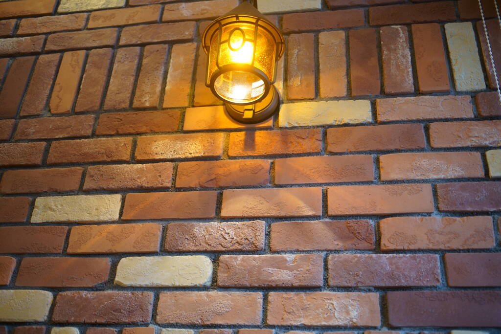 DSC00010