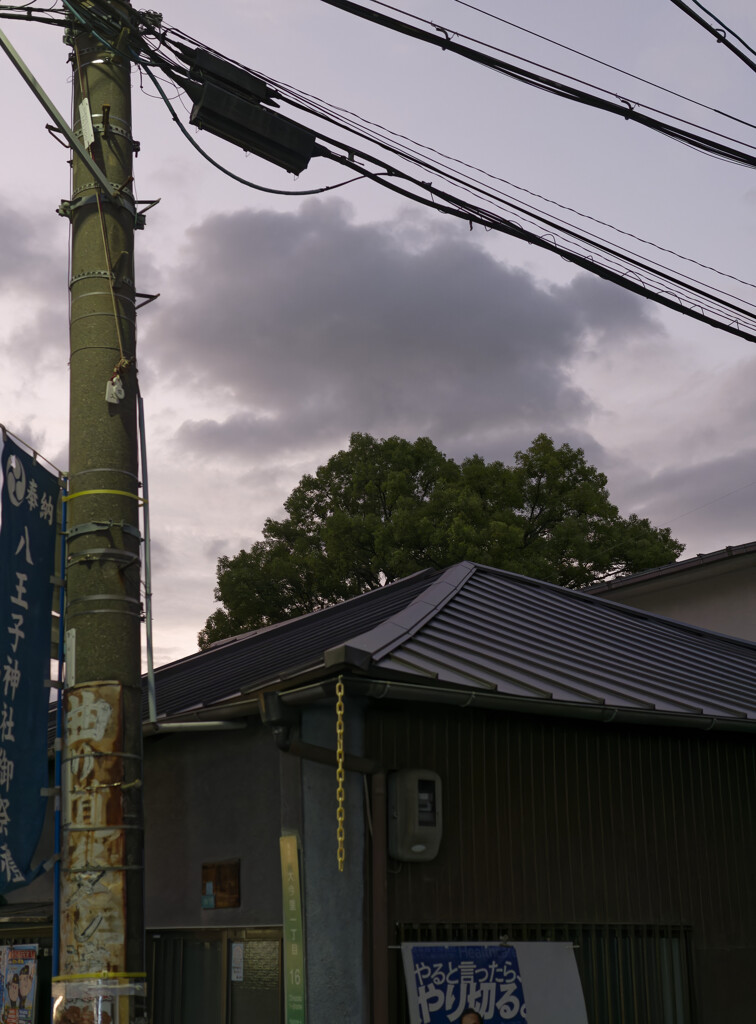 _1050492_DxO