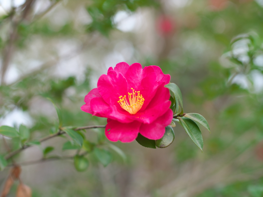 P1051561