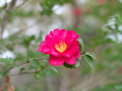 P1051561