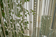 DSC02244_1