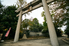 DSC00068_1