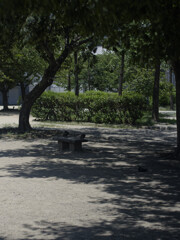 _1090826_DxO