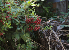 _G9P9226_DxO