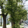 P1010625