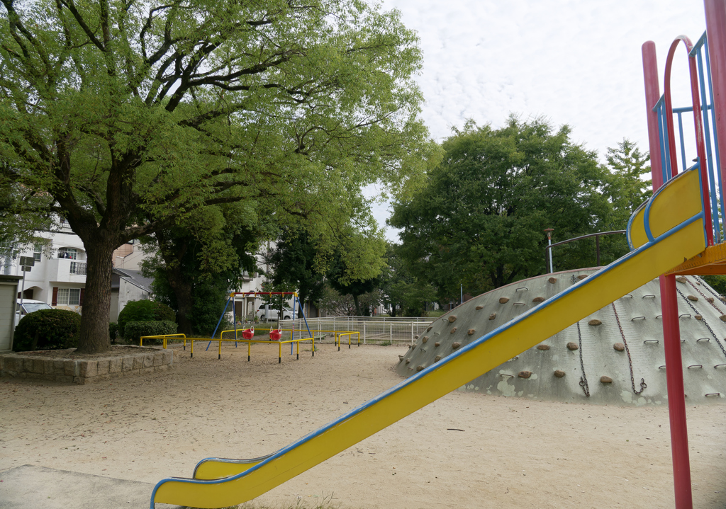 _1010661_DxO