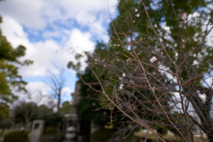 DSC04653