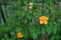 DSC02008