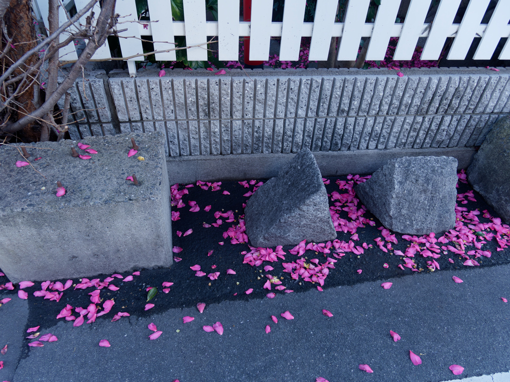 P1040281_DxO