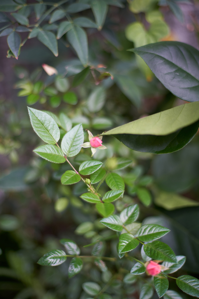 A7C00123