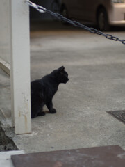 _1069557_DxO