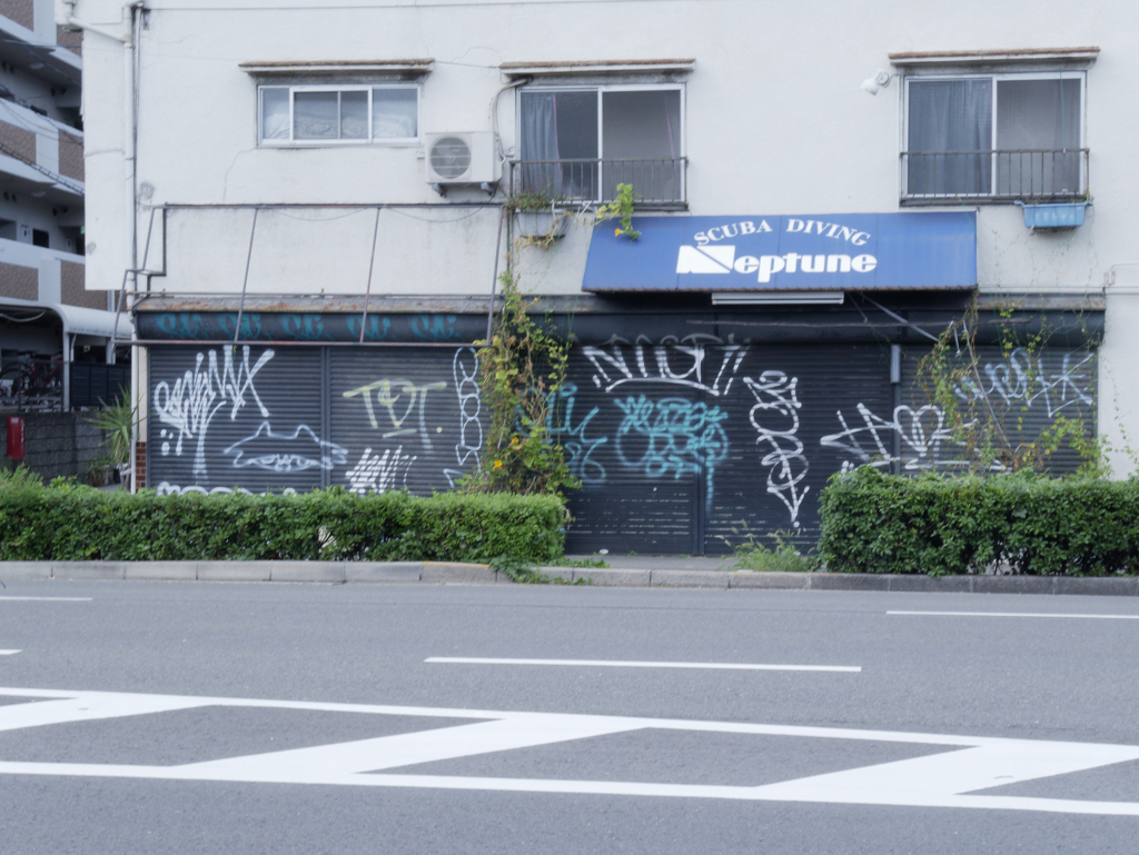 _1010796_DxO