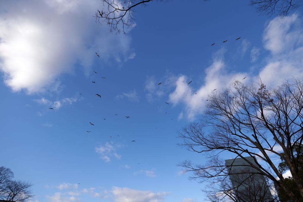 DSC04711_1