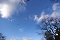 DSC04711_1