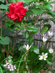 P1053556
