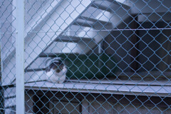 _7R32455_DxO