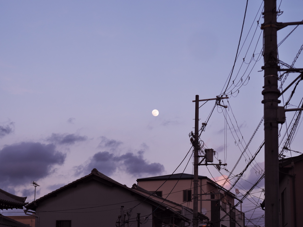 P1052265