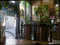 _1040209_DxO