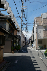 夏本番　絶好調（知らんけど）