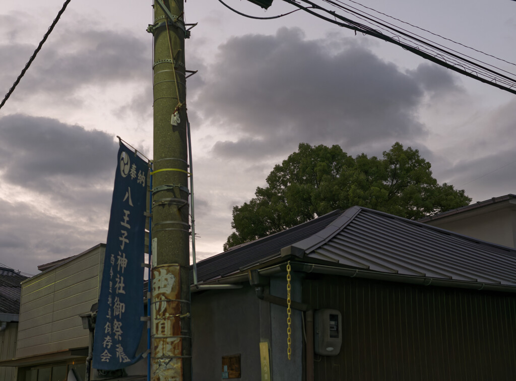 _1050493_DxO
