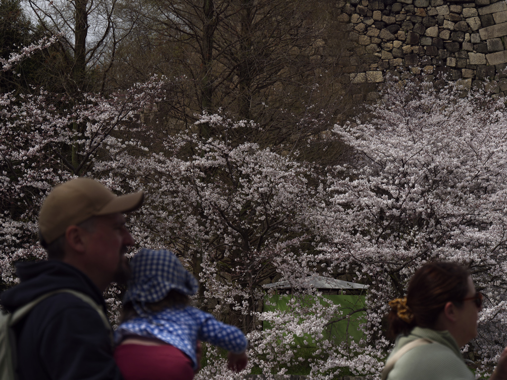 _G9P4458_DxO