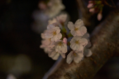 A7C08845 1