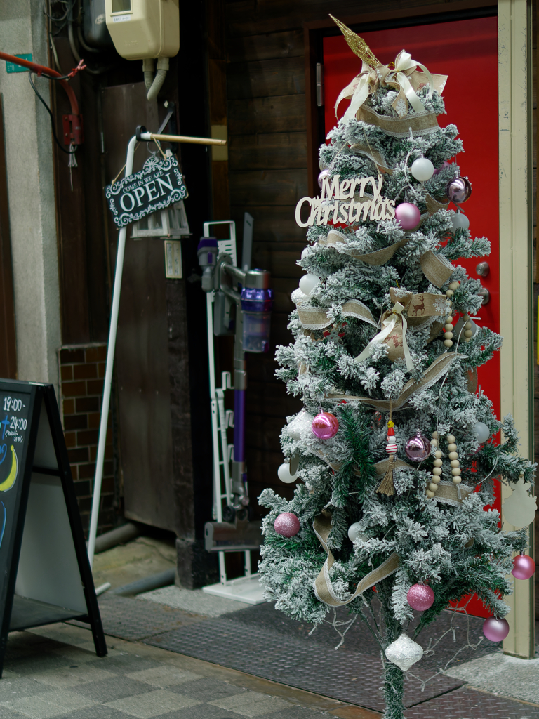 P1080027_DxO