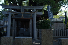 久々にα7R3で
