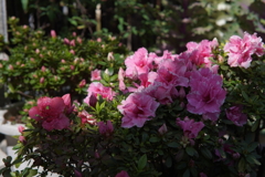 A7C01721