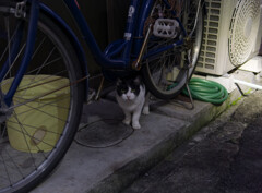 がん見されてた(^O^)