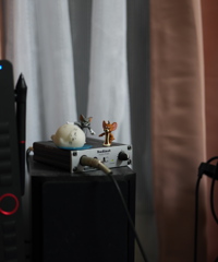 P1000028