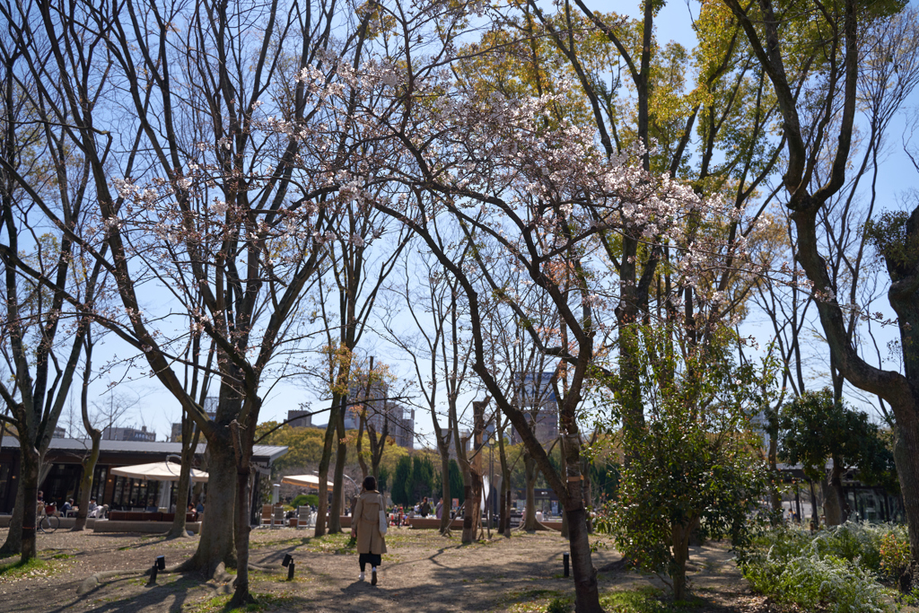 DSC05387_1