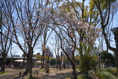 DSC05387_1