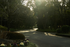 DSC08247
